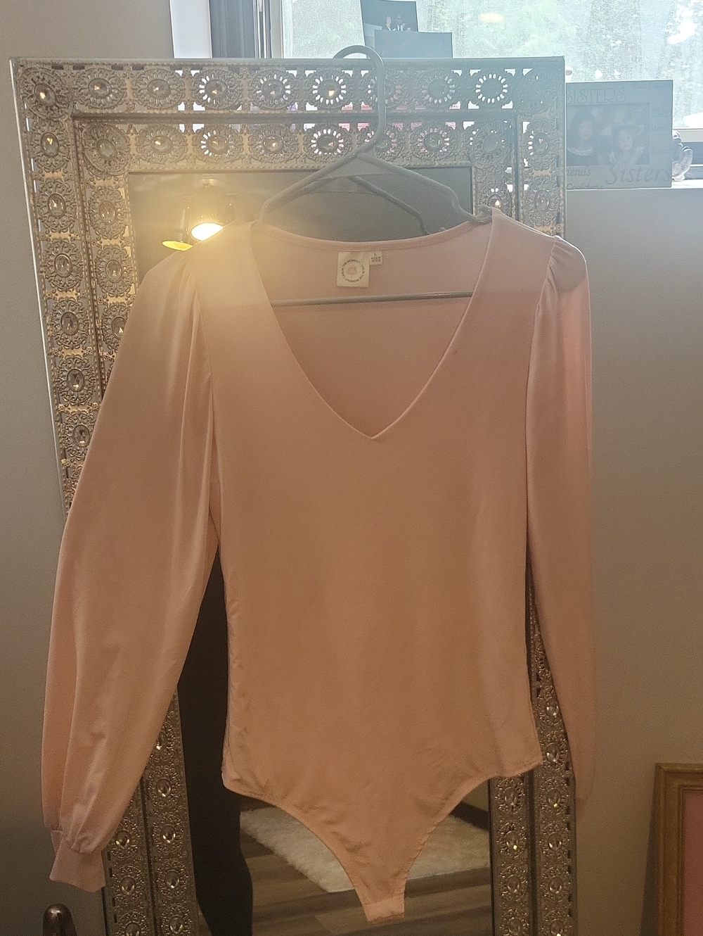 Dressy Longsleeve Blush Pink V-Neck Bodysuit
